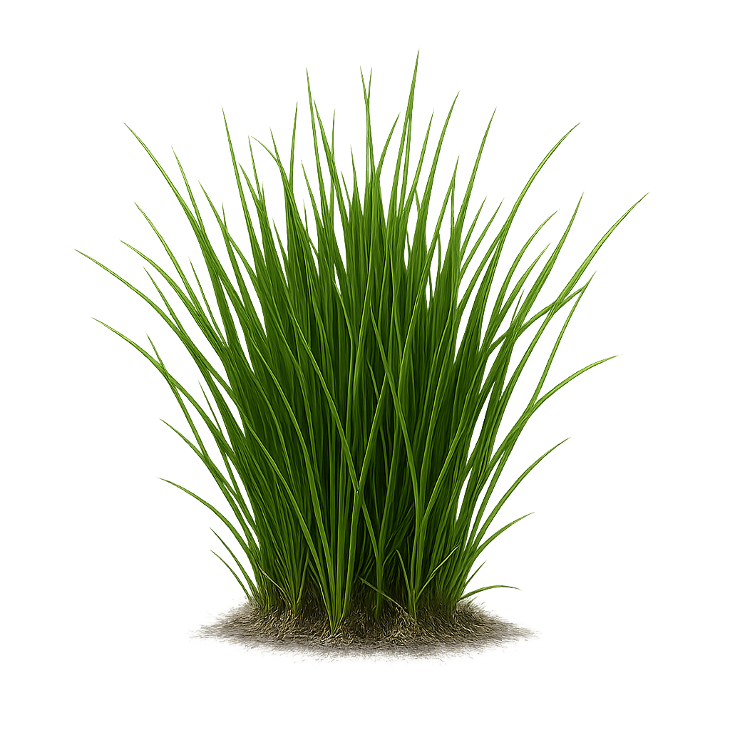 Grass!